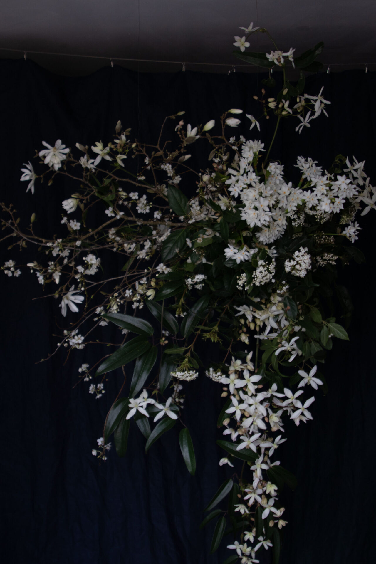 A late winter hanging installation of Magnolia stellata branches, fragrant paperwhite narcissi and climbing clematis alba. By Mora, a sustainable, season-led event florist based in Hackney, East London