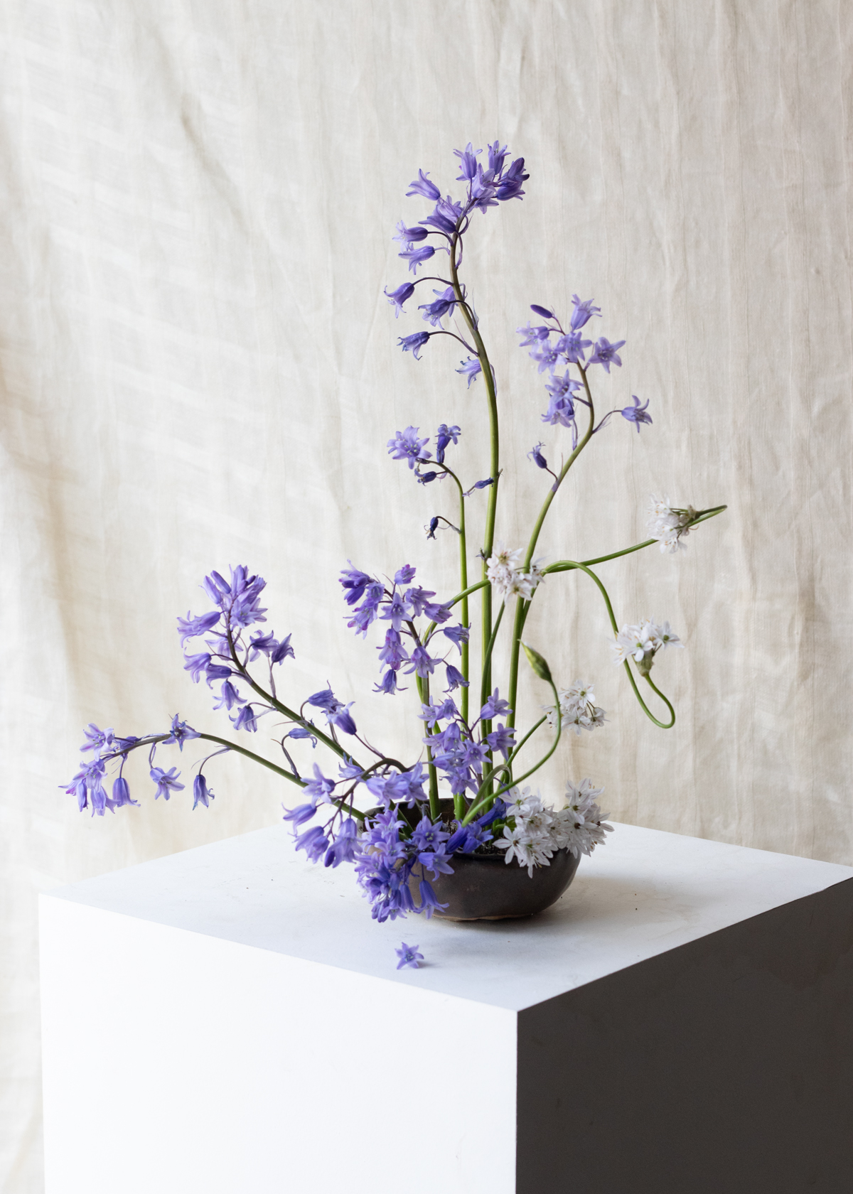 Small bowl of wiggly allium and dancing bluebells.  By Mora, a sustainable, season-led event florist based in Hackney, East London.