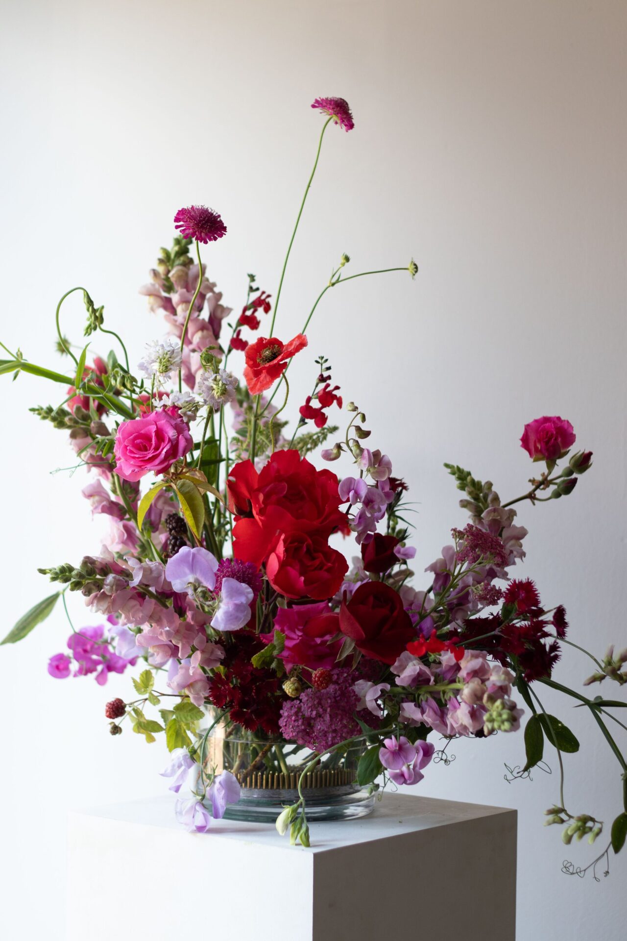 240627StudioAshby_10