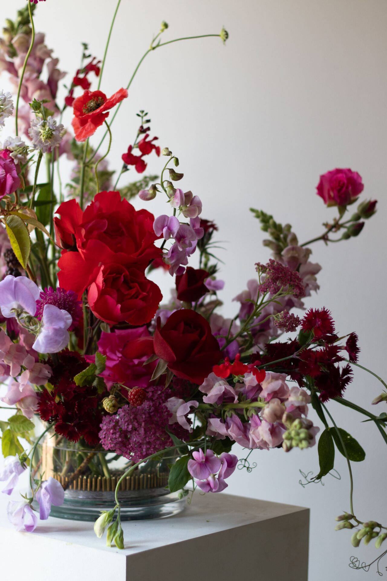 240627StudioAshby_13