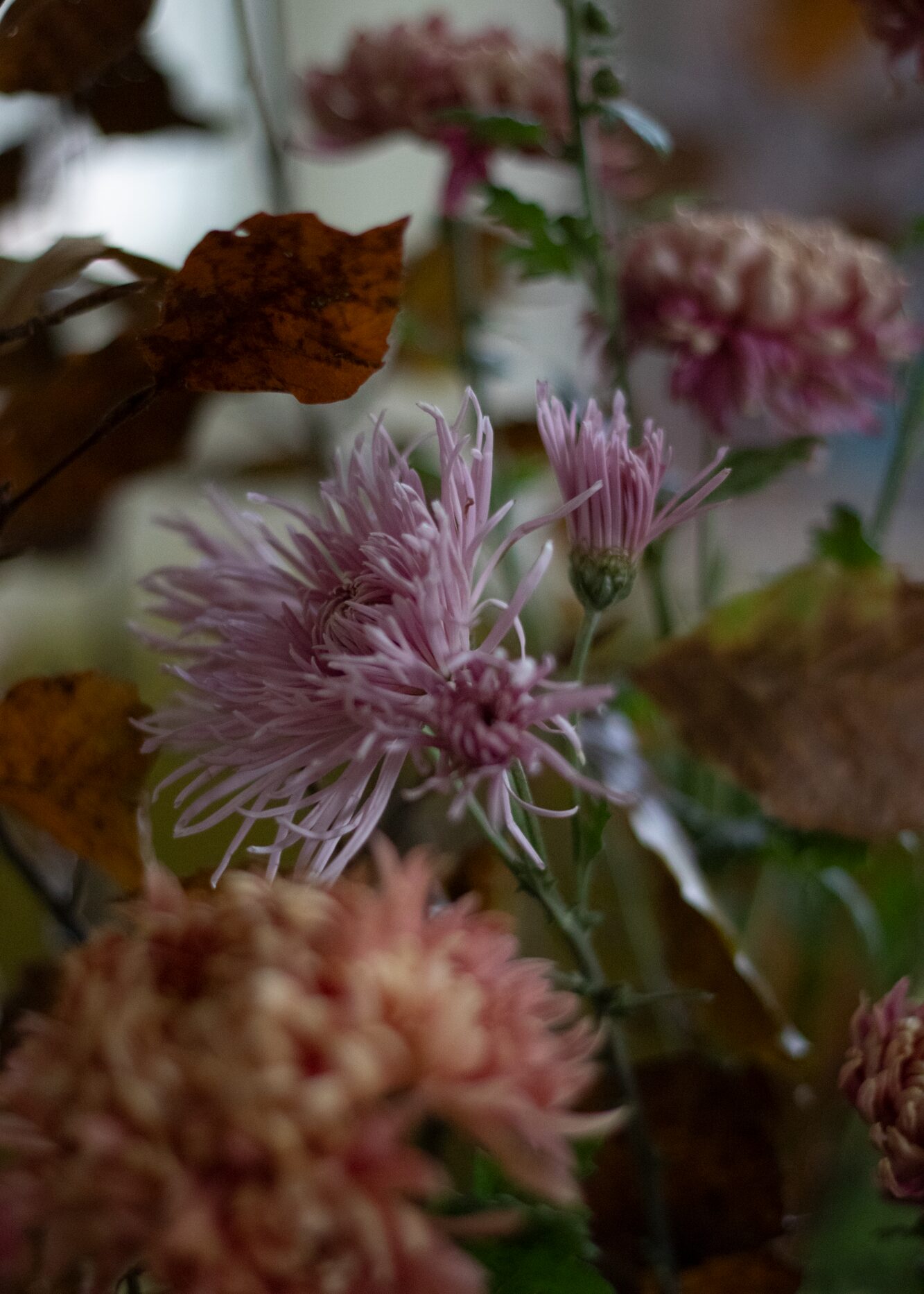 241108_StudioAshby_Shoot_11