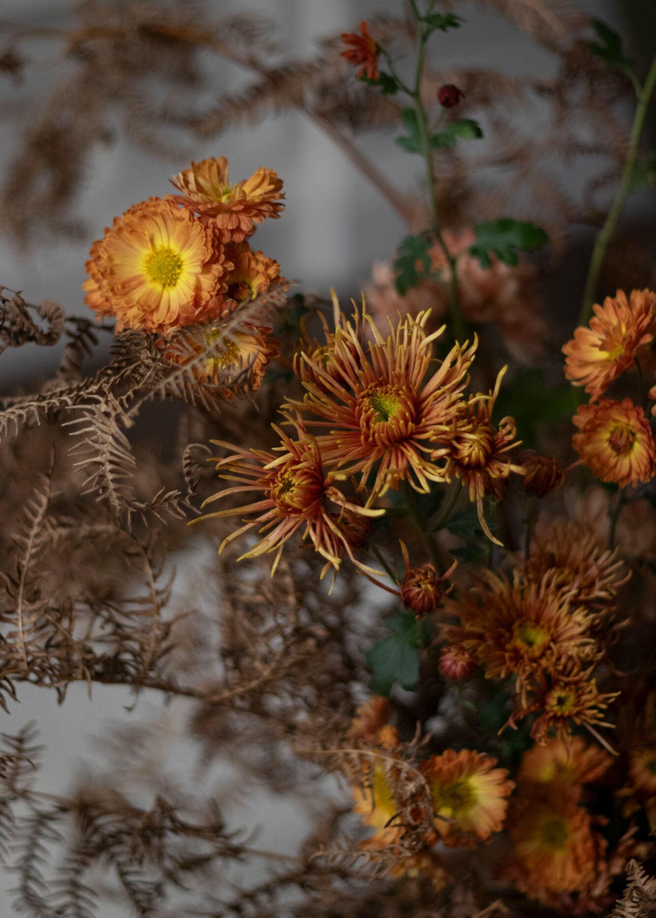 241108_StudioAshby_Shoot_36