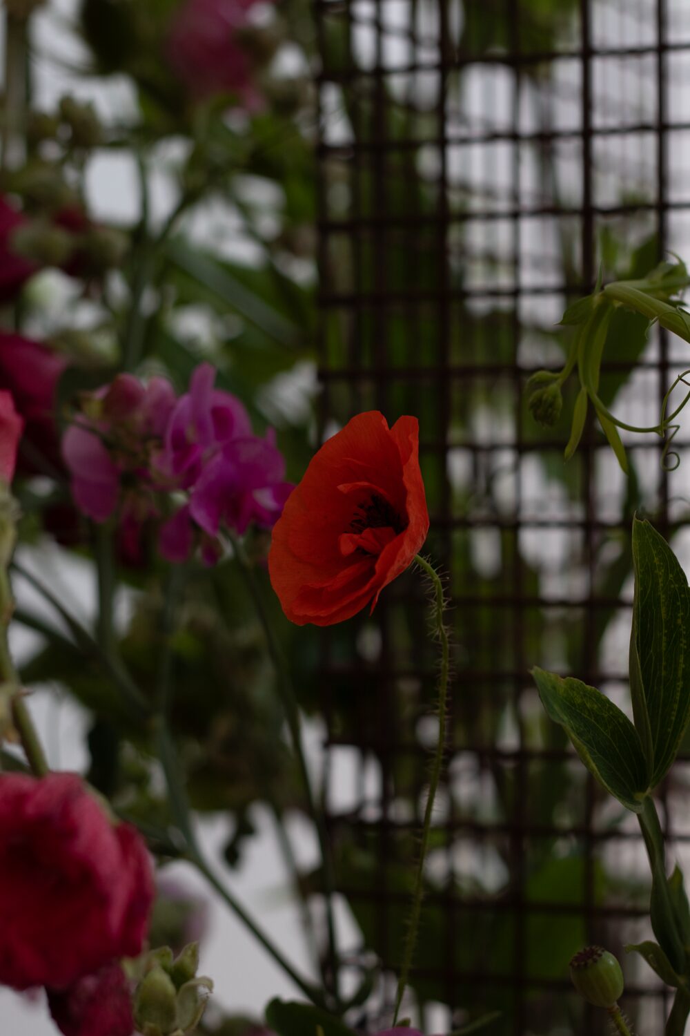 250619_MoraFloralStudio_FlowersOnTheEdge