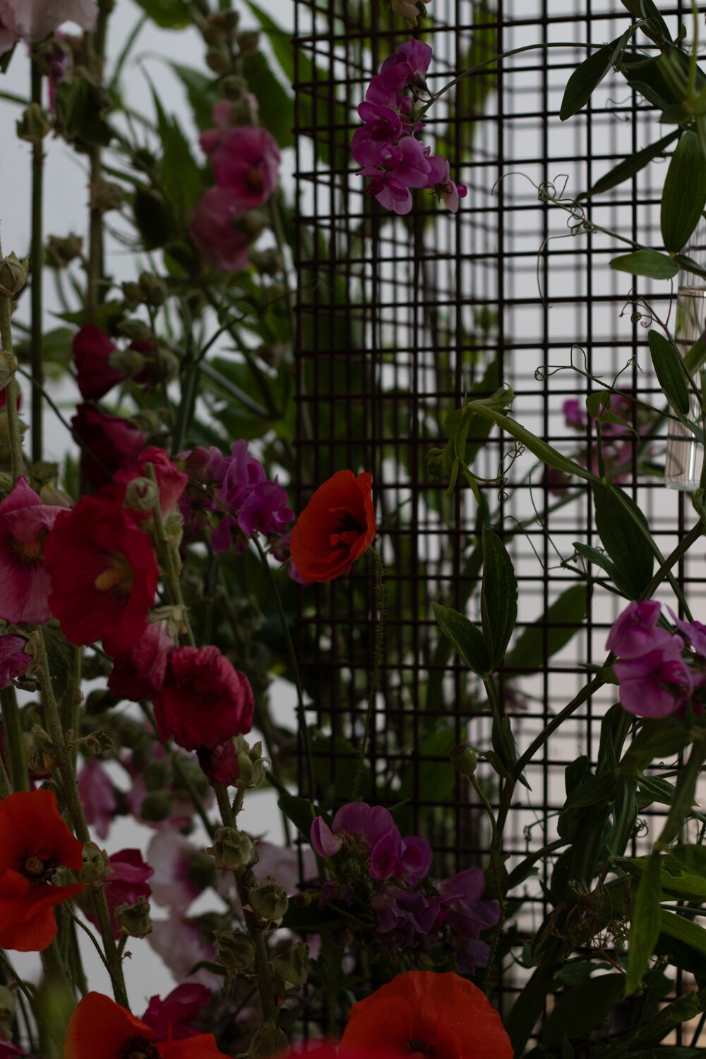 Flowers On The Edge