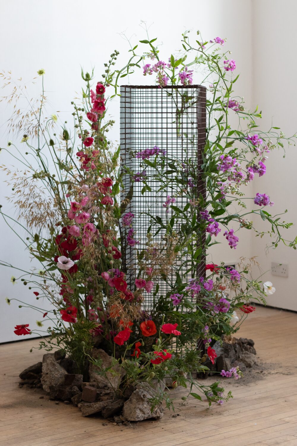 250619_MoraFloralStudio_FlowersOnTheEdge_42
