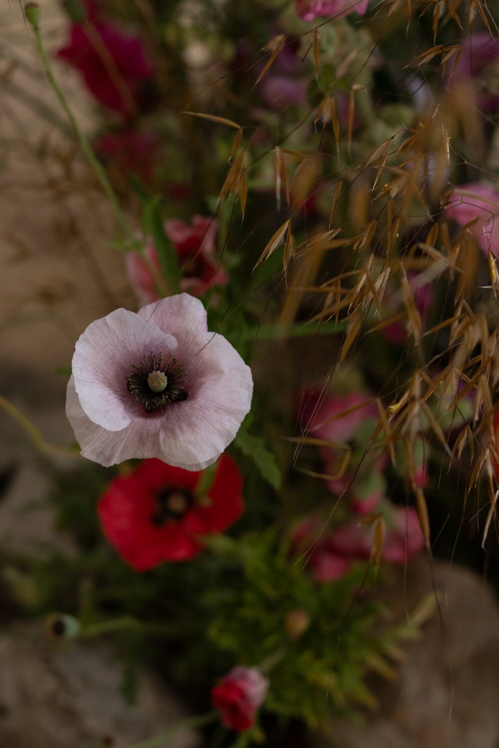 250619_MoraFloralStudio_FlowersOnTheEdge_46