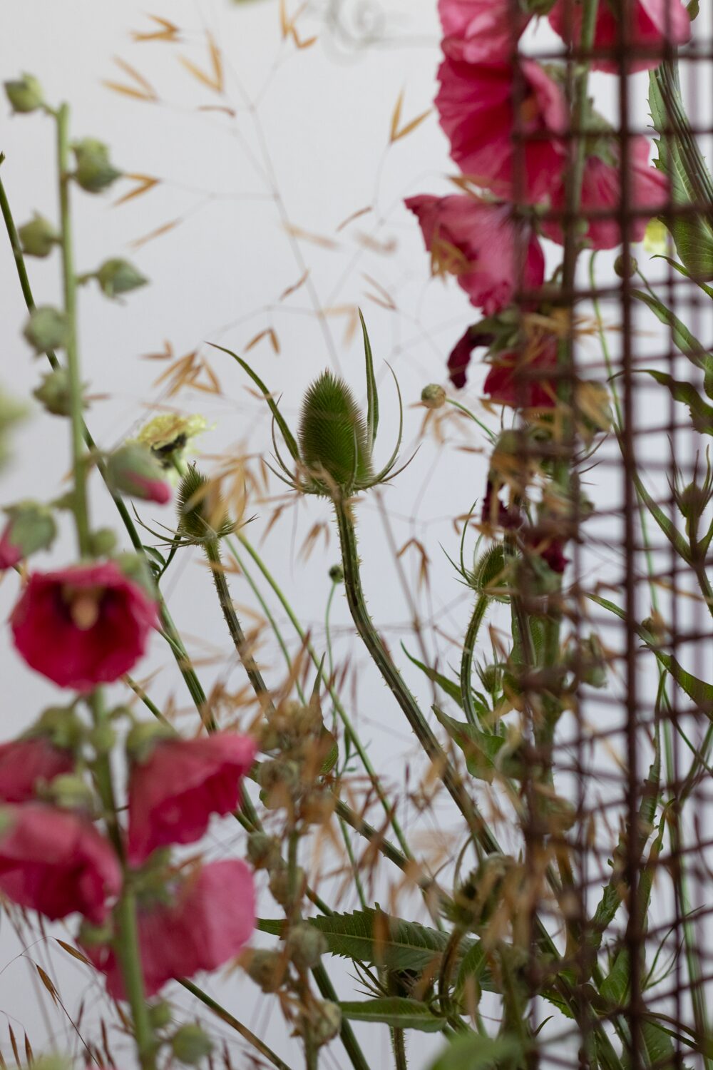 250619_MoraFloralStudio_FlowersOnTheEdge_56