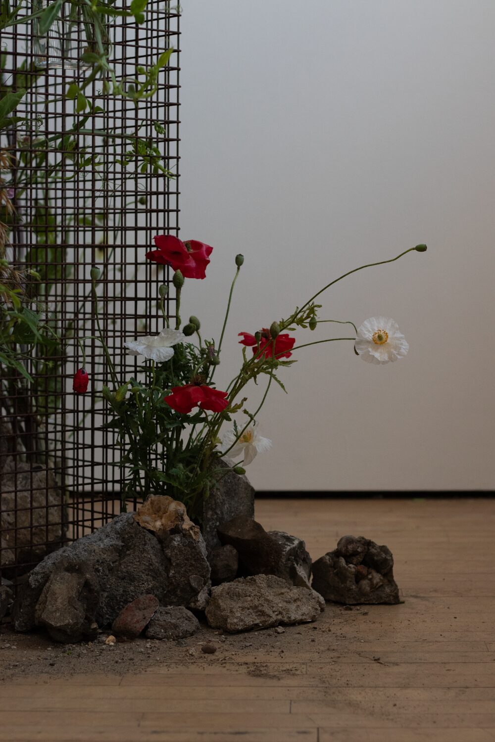 250619_MoraFloralStudio_FlowersOnTheEdge_66