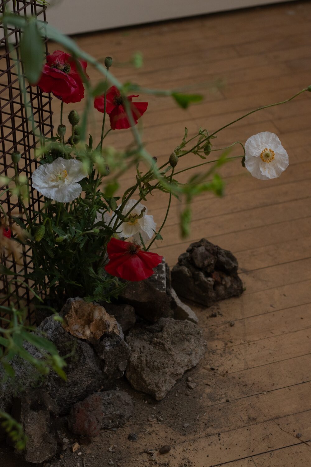 250619_MoraFloralStudio_FlowersOnTheEdge_76