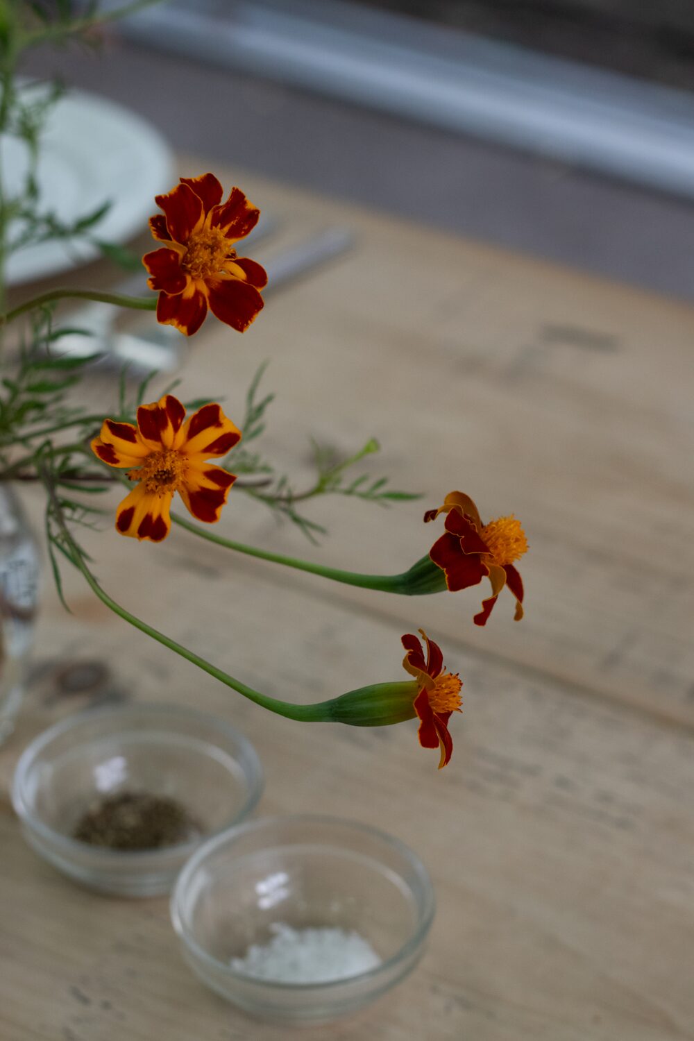 250701_MoraFloralStudioPalestineDinner_35