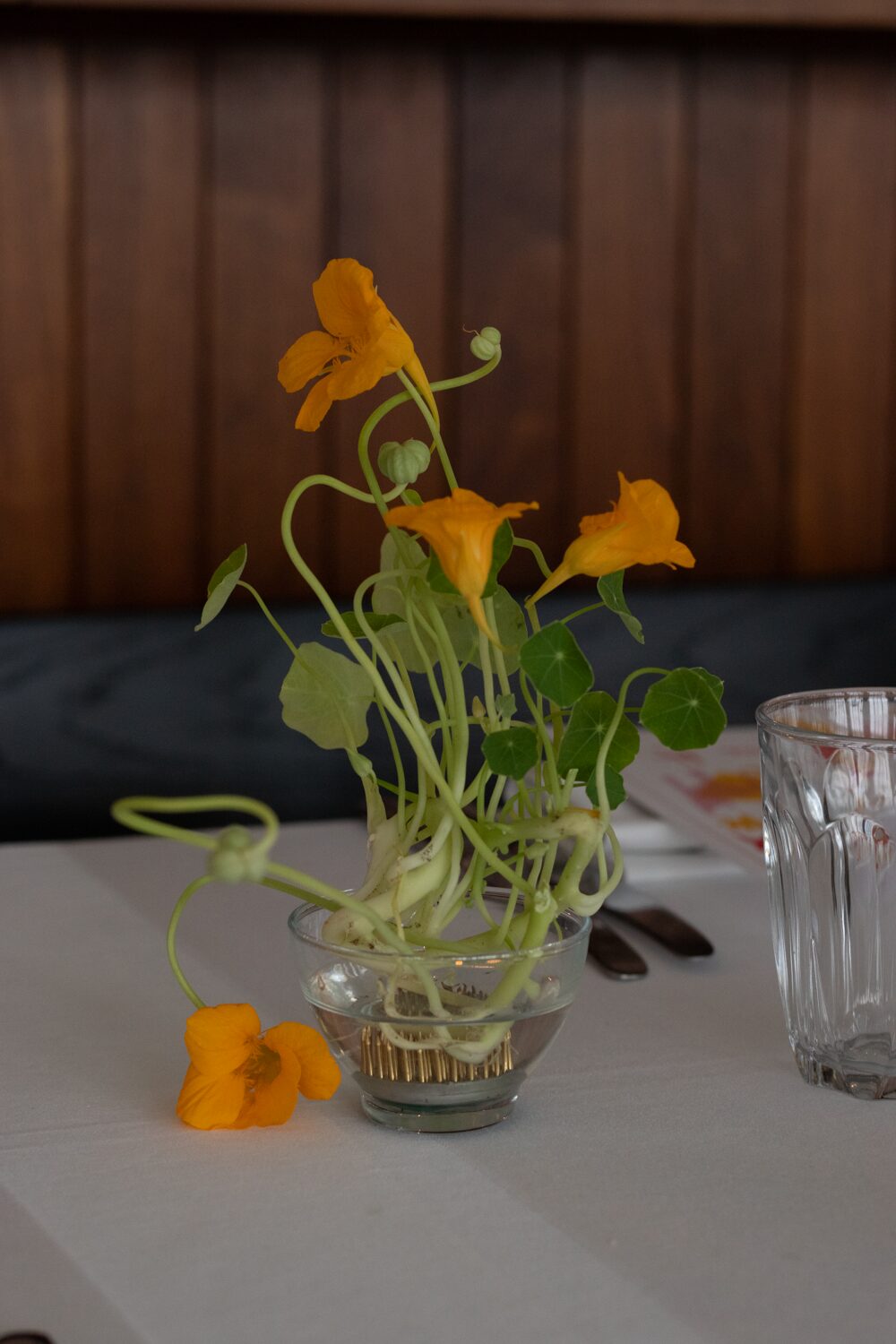 250831_MoraFloralStudio_Bistrotheque_33