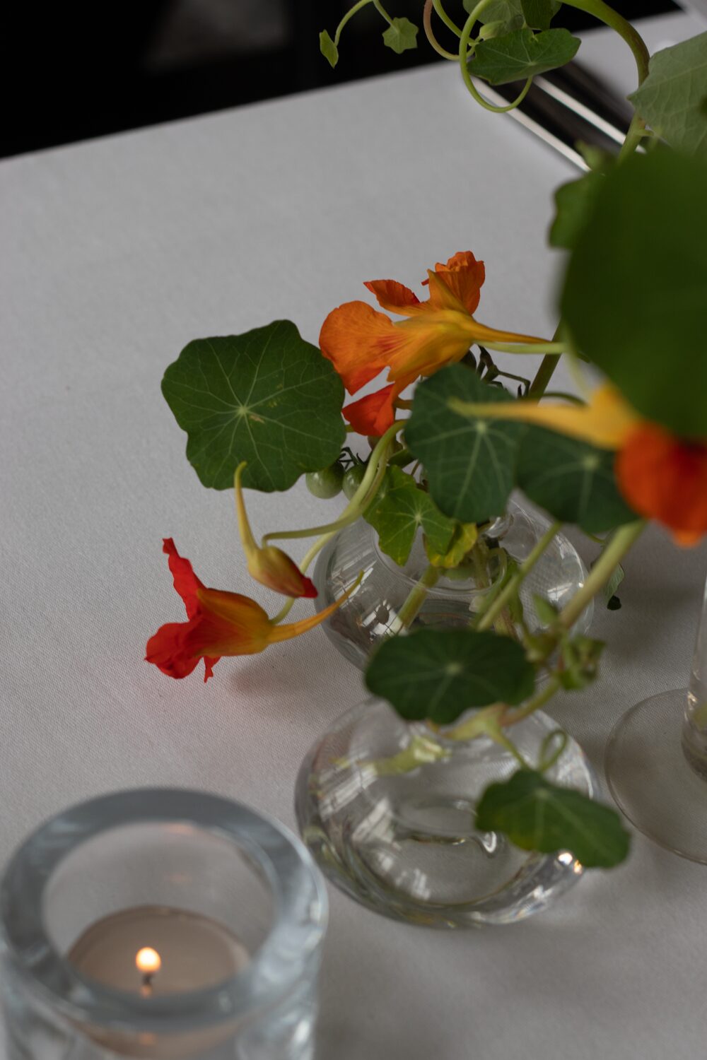 250831_MoraFloralStudio_Bistrotheque_38