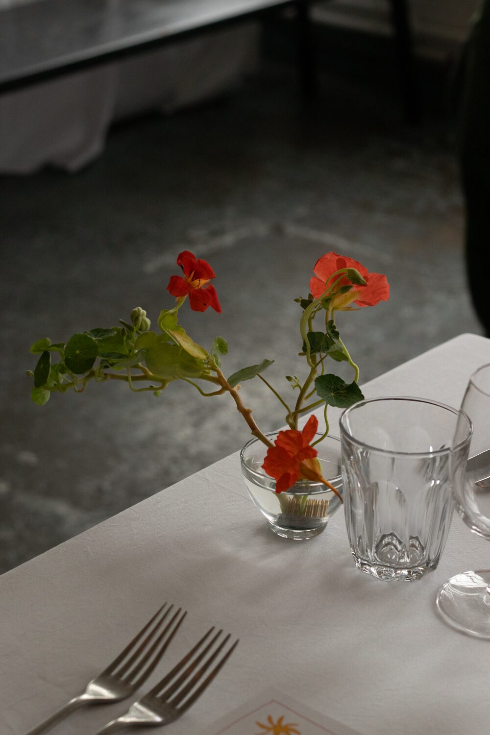 250831_MoraFloralStudio_Bistrotheque_4