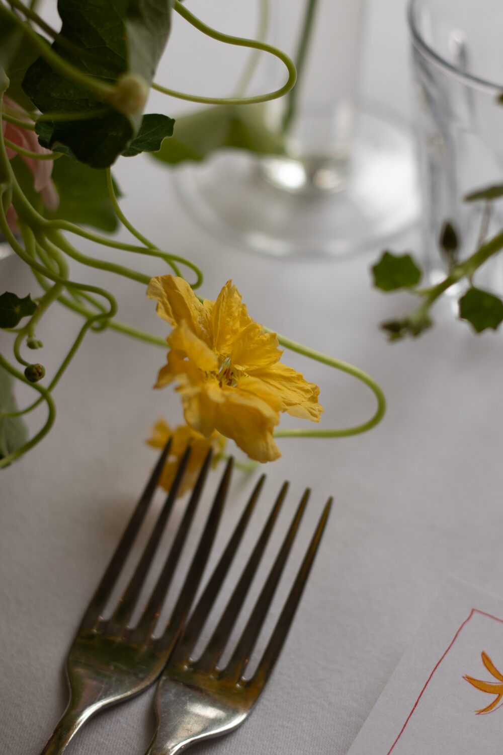 250831_MoraFloralStudio_Bistrotheque_92