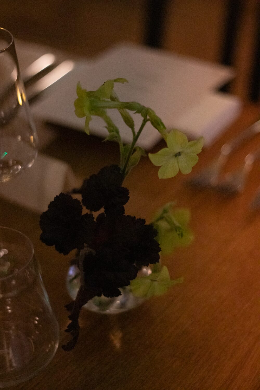 251005_MoraFloralStudio_B&WHarvest_Apricity_44