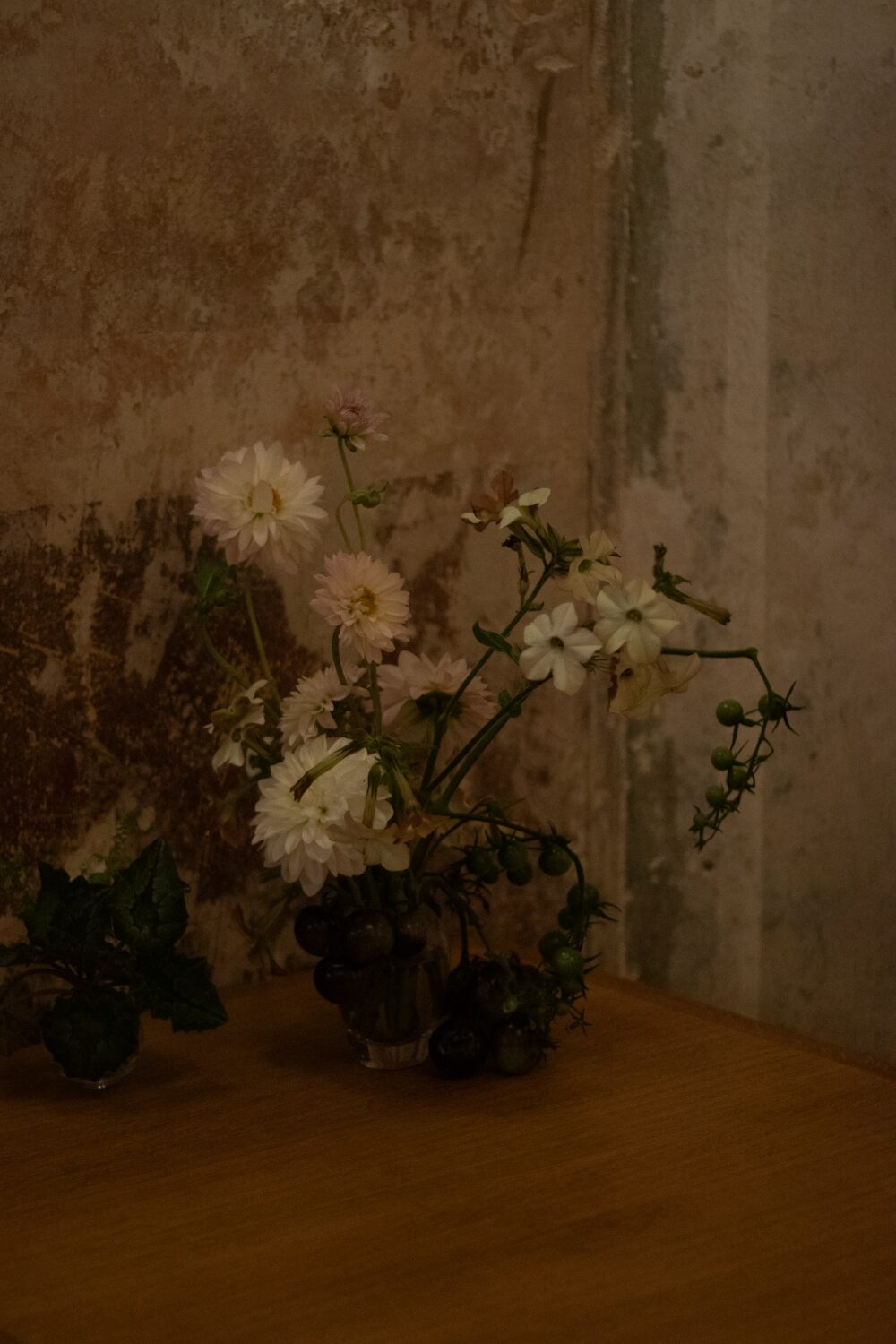 251005_MoraFloralStudio_B&WHarvest_Apricity_78