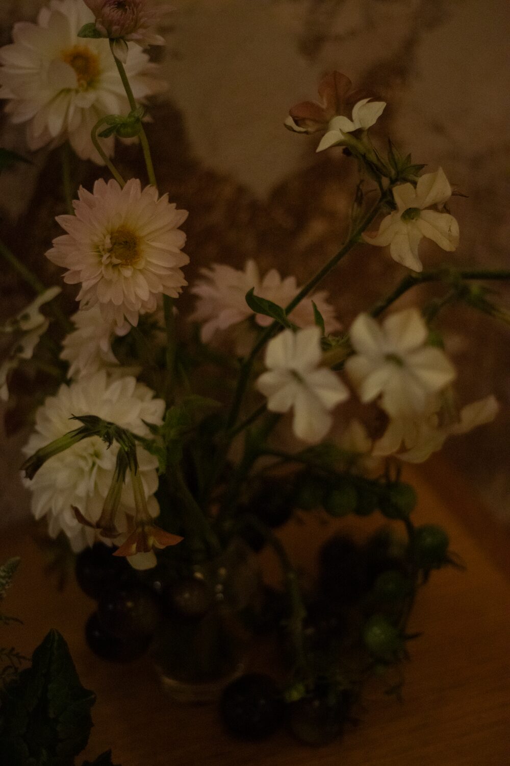 251005_MoraFloralStudio_B&WHarvest_Apricity_79