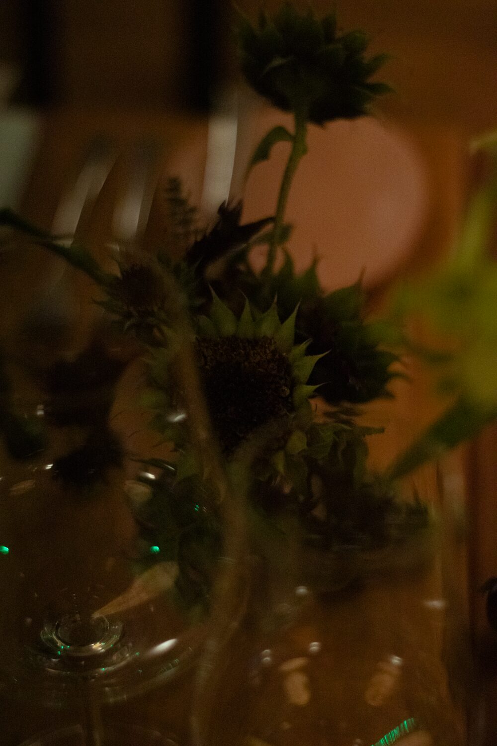 251005_MoraFloralStudio_B&WHarvest_Apricity_87