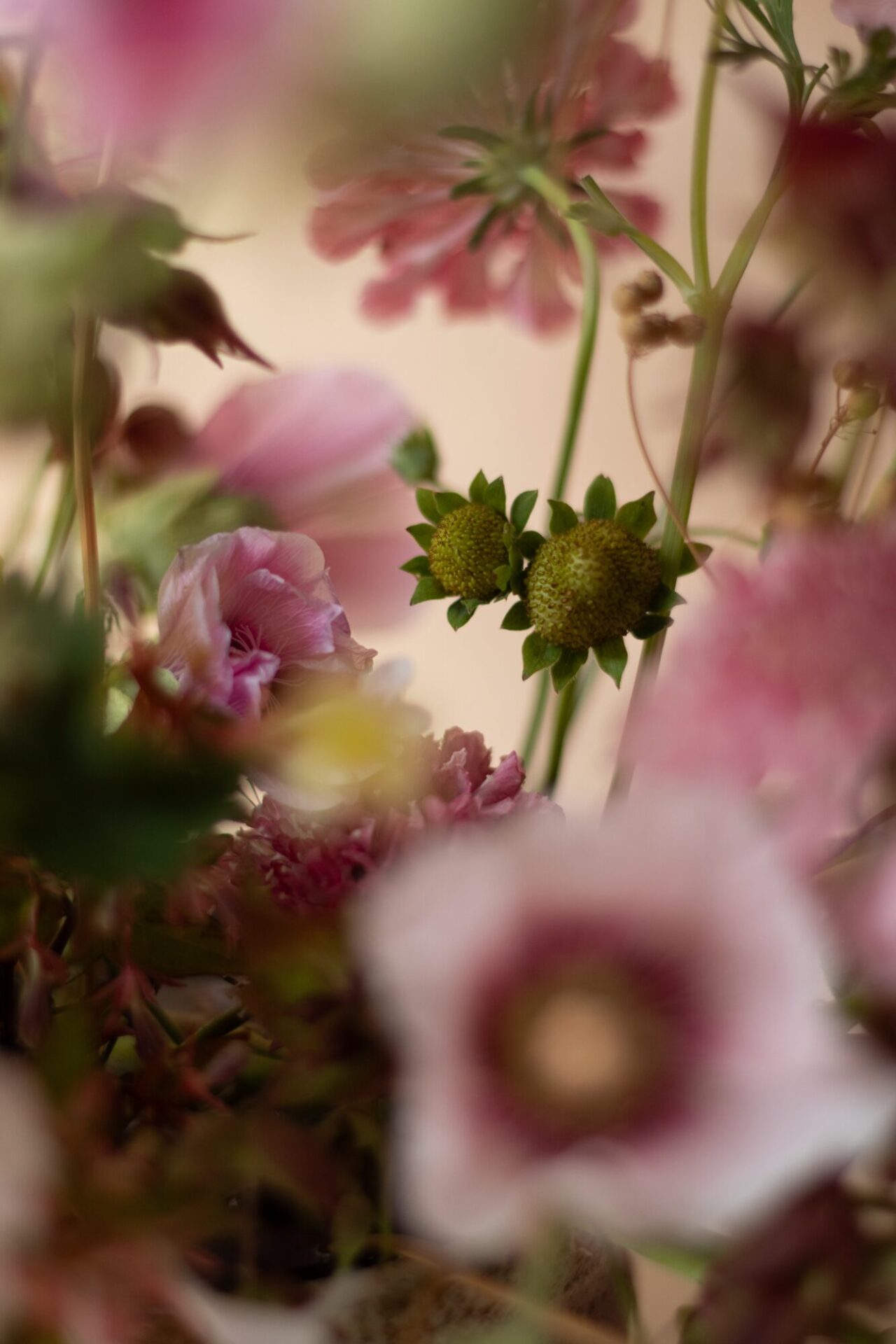 240814_SummerPinks_1