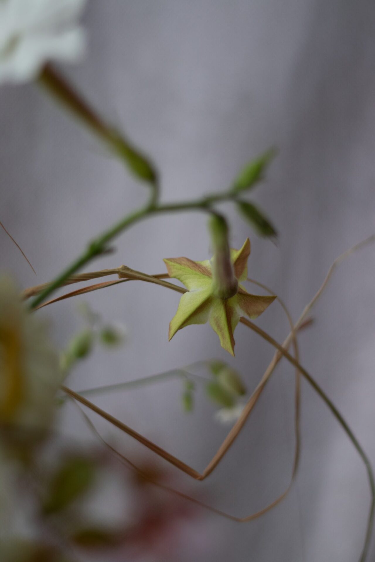 240901_LastOfSummer_resized_42