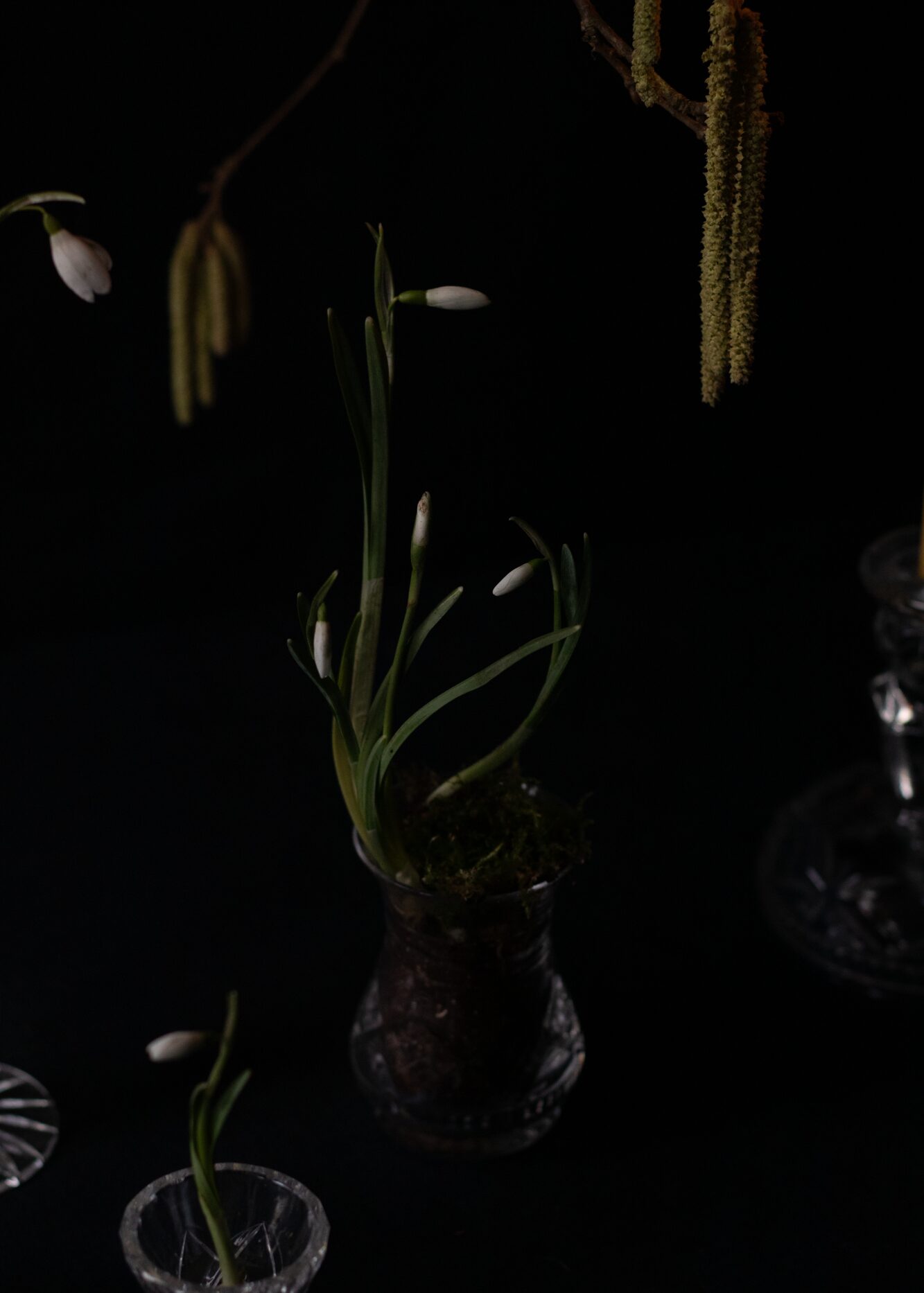 250120_MoraFloralStudio_Imbolc_18