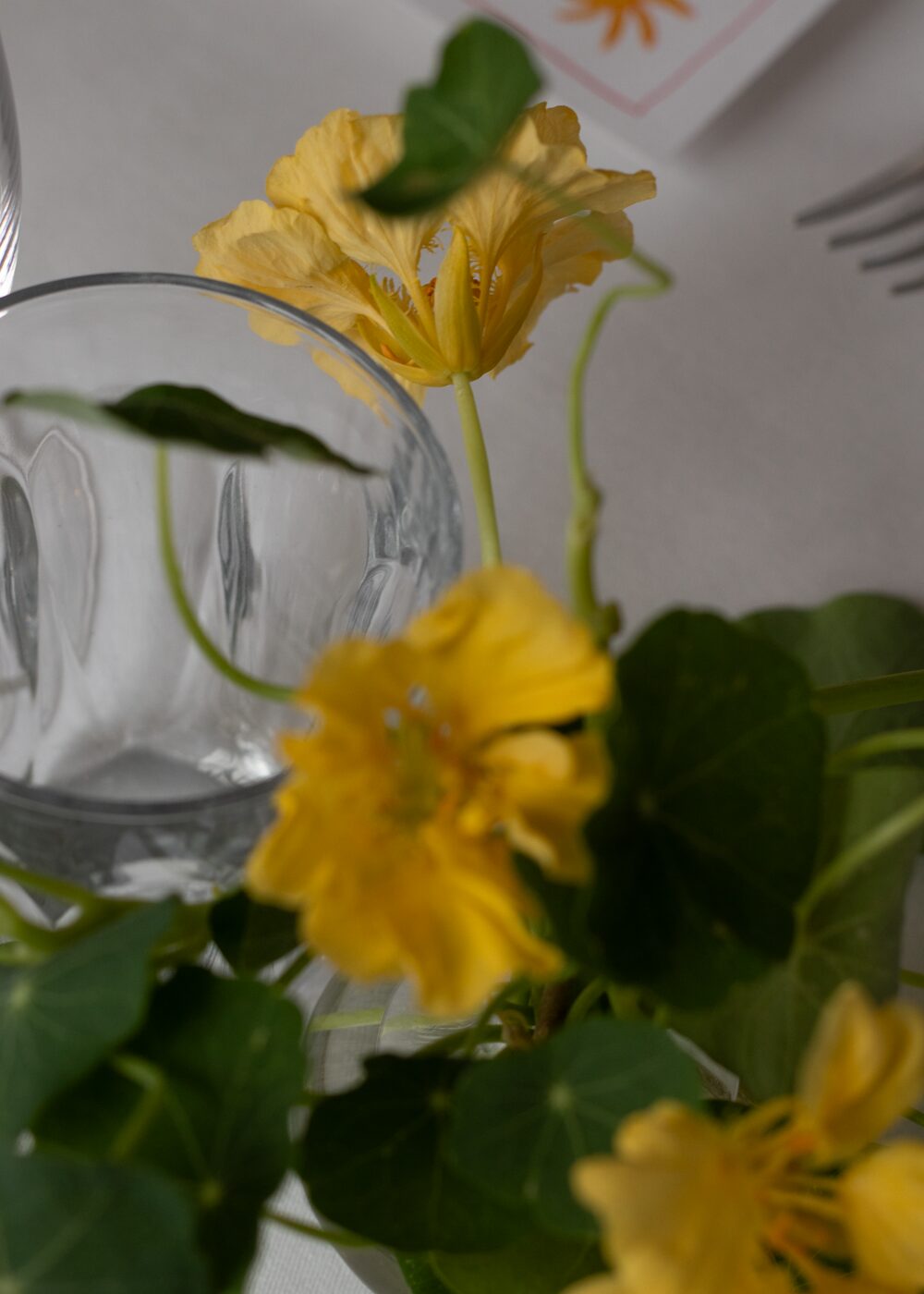 250831_MoraFloralStudio_Bistrotheque_20