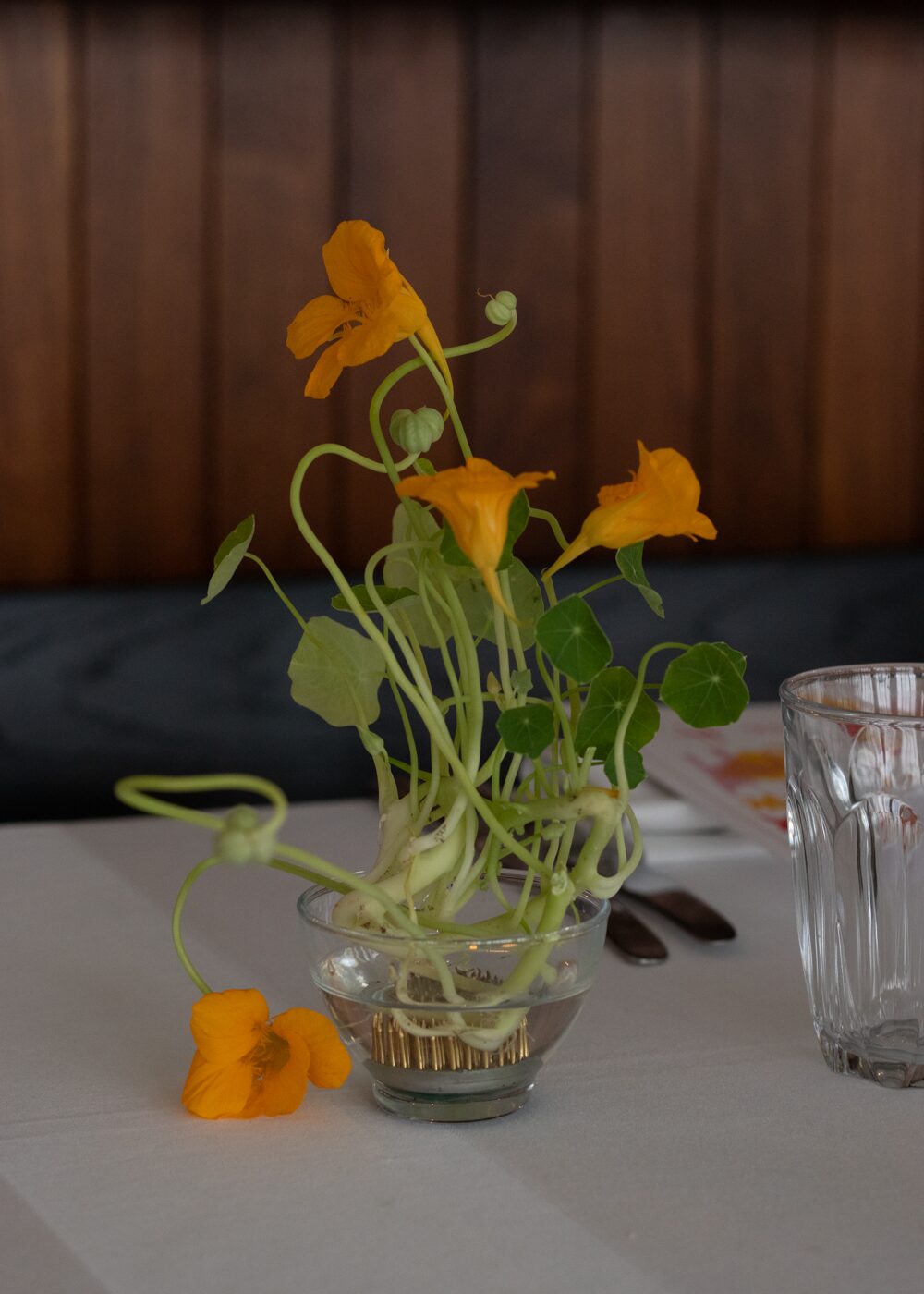 250831_MoraFloralStudio_Bistrotheque_33