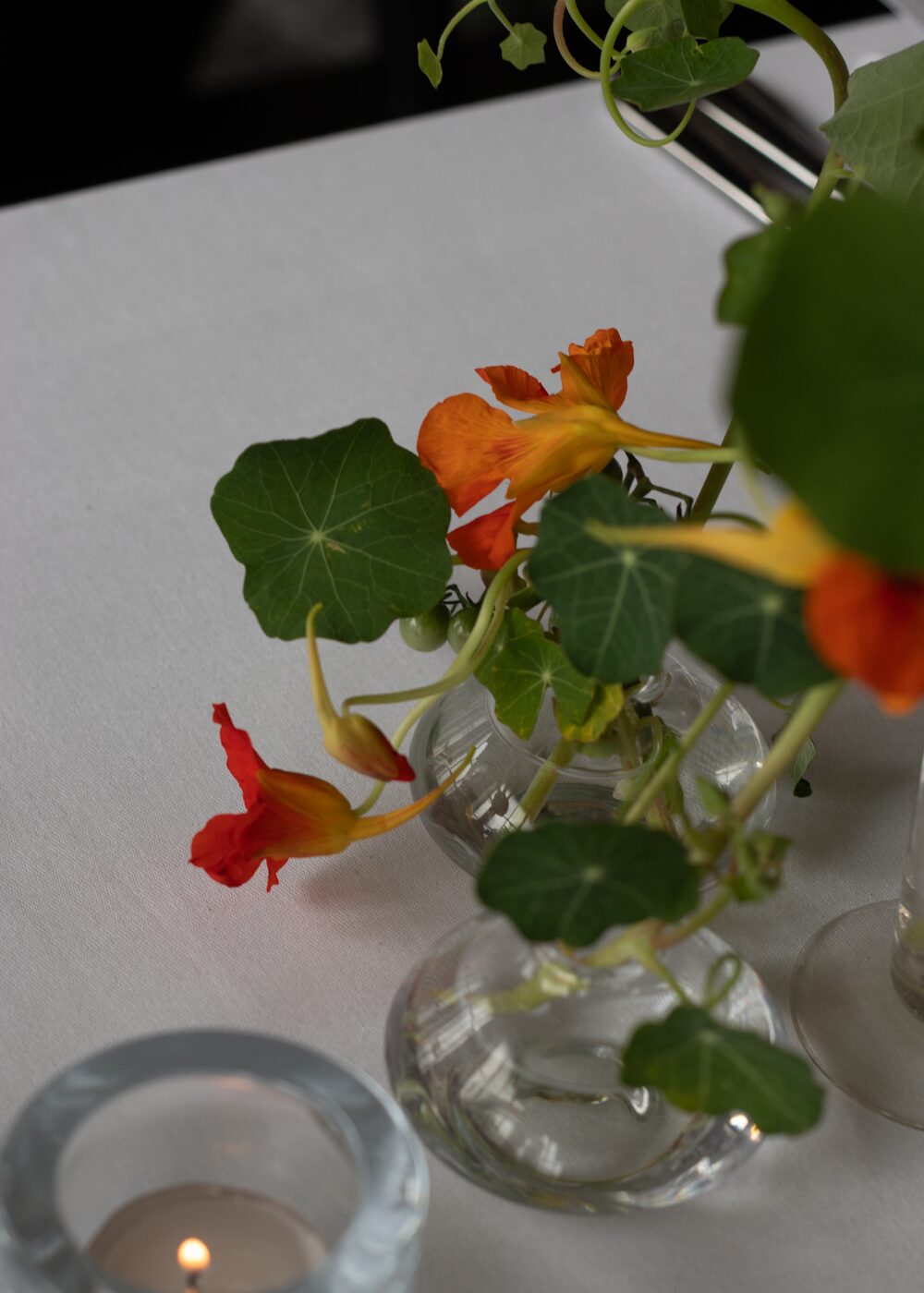 250831_MoraFloralStudio_Bistrotheque_38