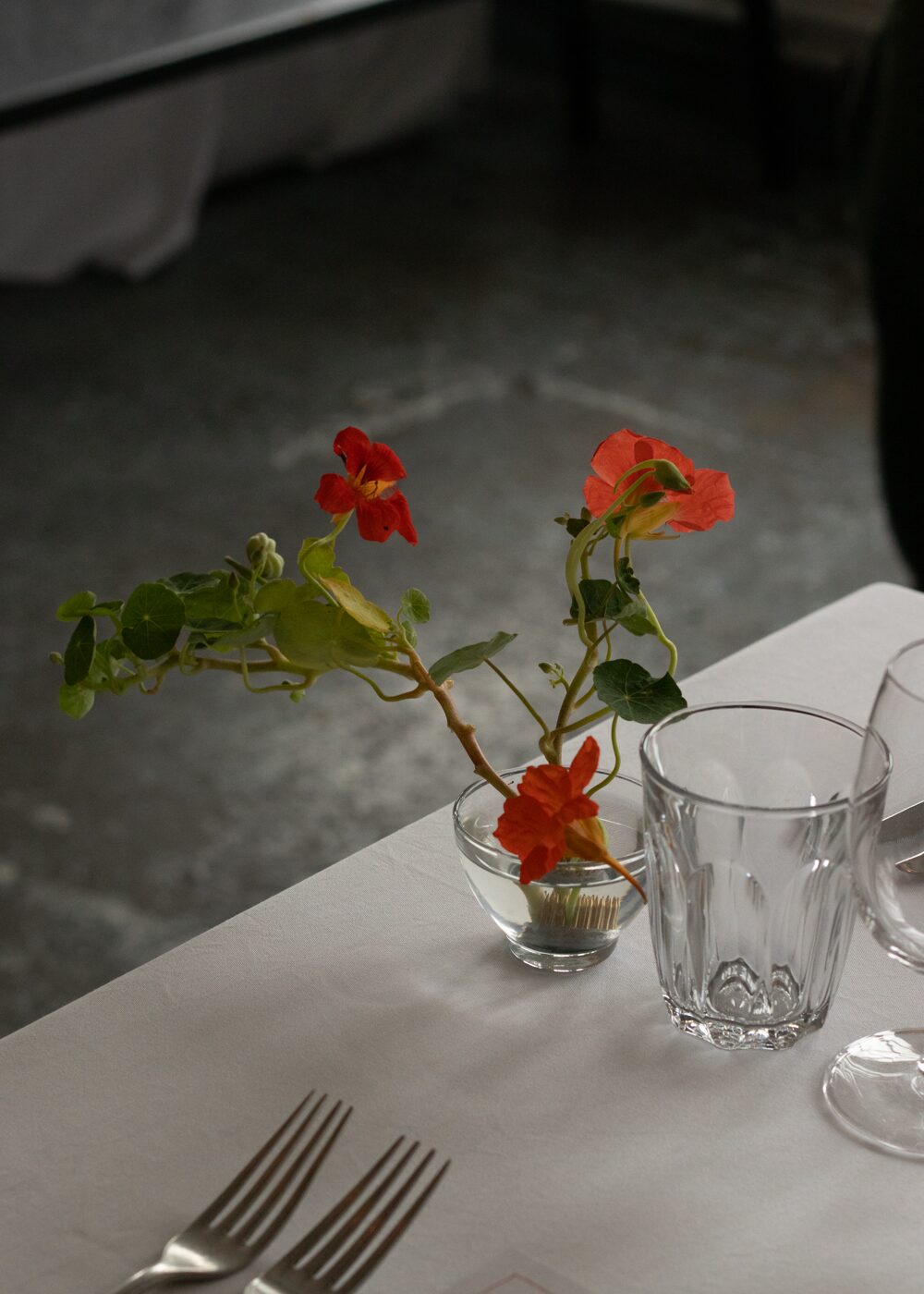 250831_MoraFloralStudio_Bistrotheque_4