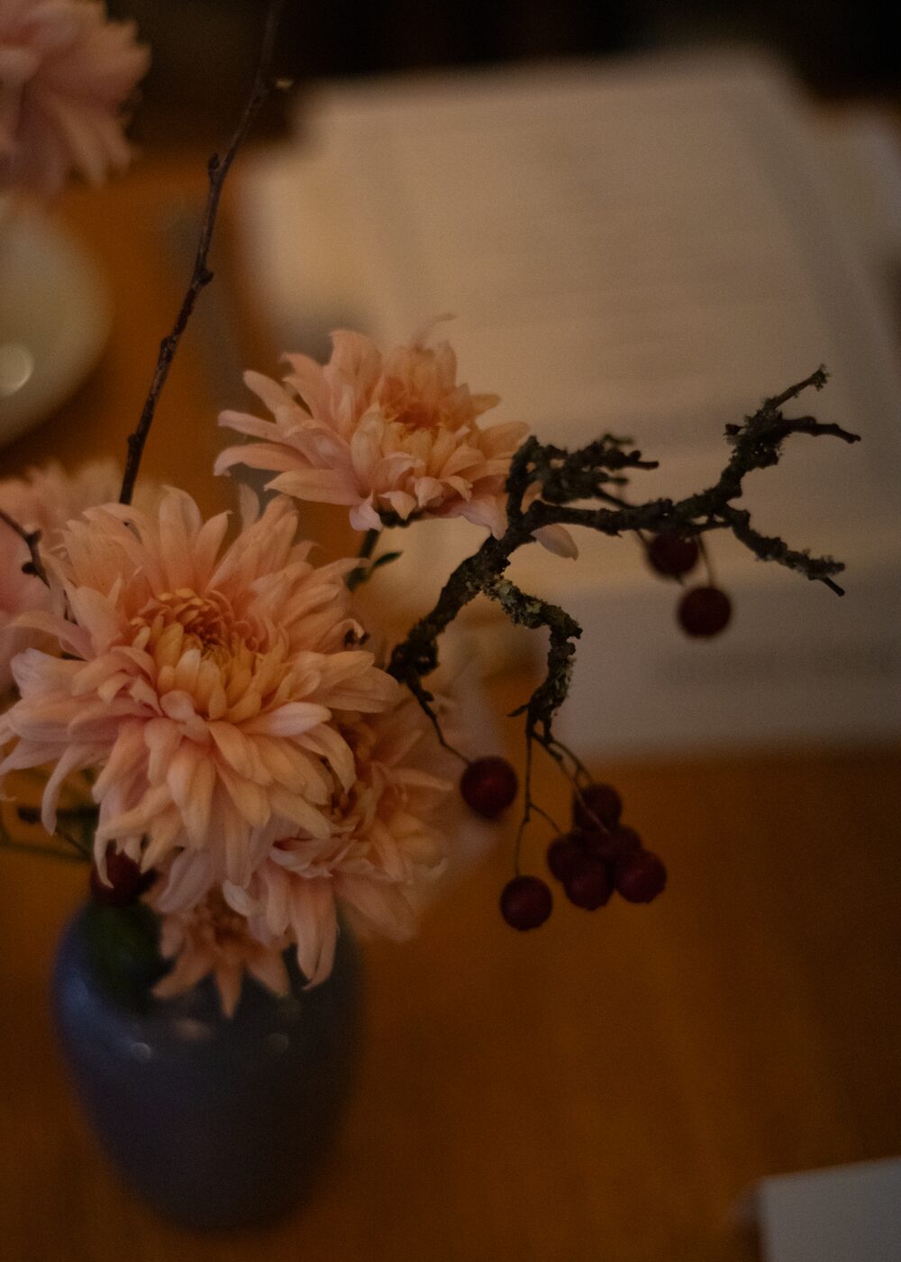 251112_MoraFloralStudio_Apricity_57