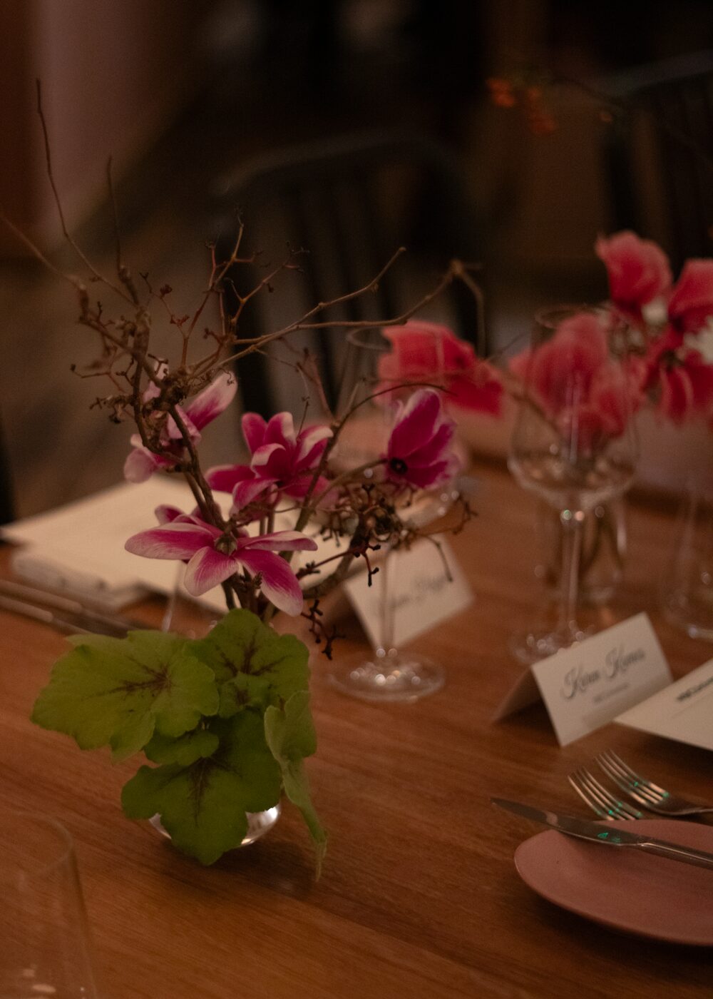 251209_MoraFloralStudio_Apricity_NBCUniversal_33