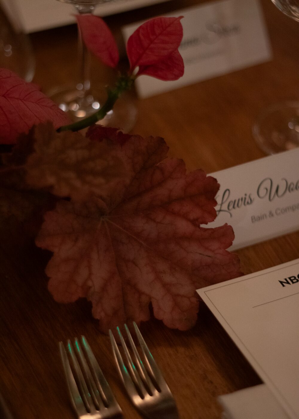 251209_MoraFloralStudio_Apricity_NBCUniversal_37