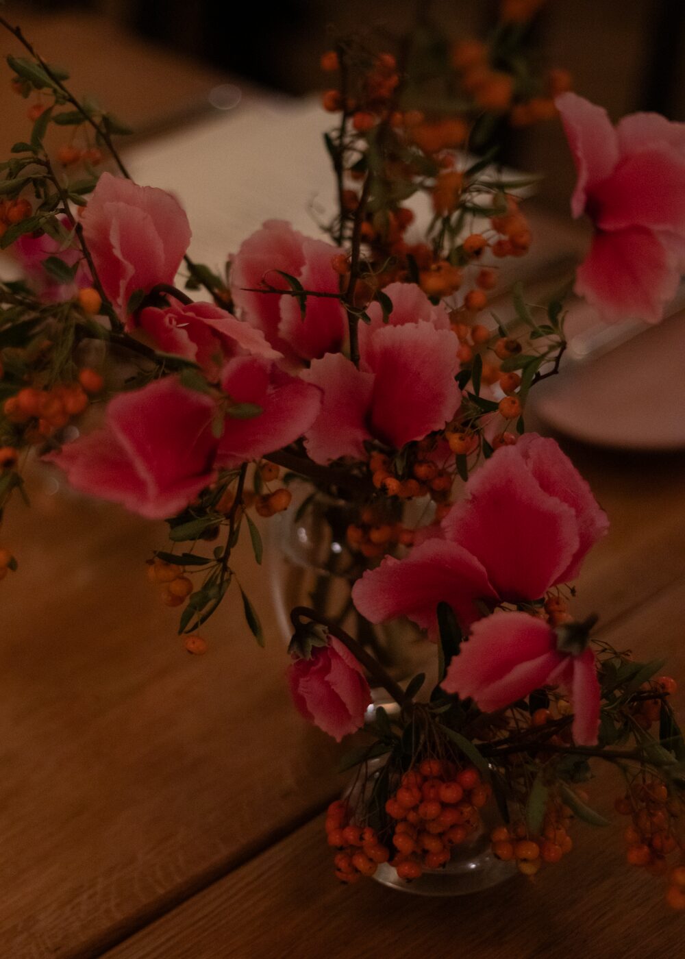 251209_MoraFloralStudio_Apricity_NBCUniversal_40