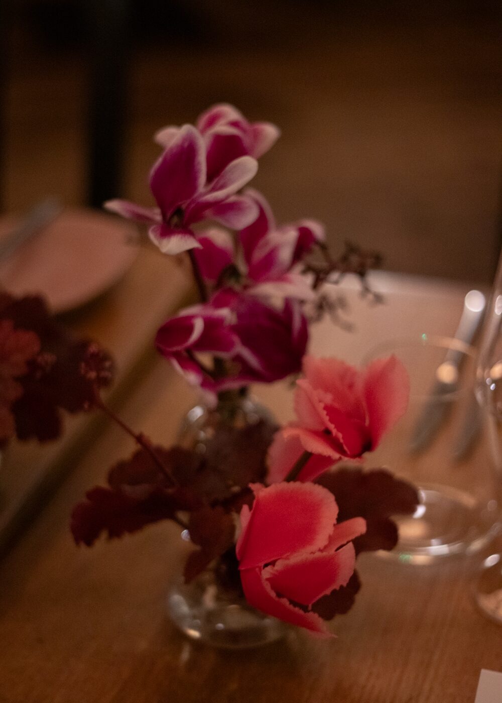 251209_MoraFloralStudio_NBCUniversal_Apricity_3b