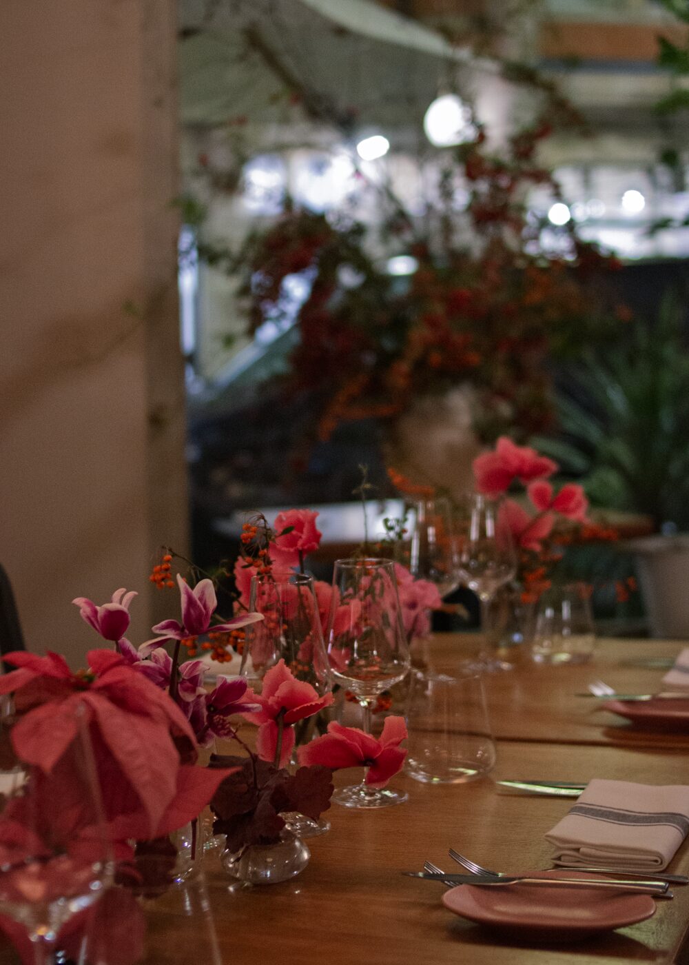 251209_MoraFloralStudio__Apricity_NBCUniversal_23