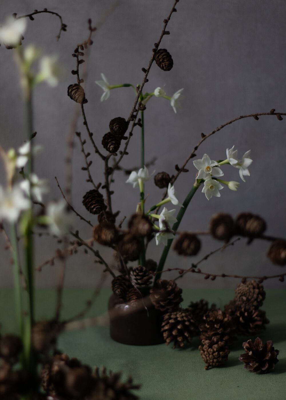 251211_MoraFloralStudio_Larchandpaperwhites_50