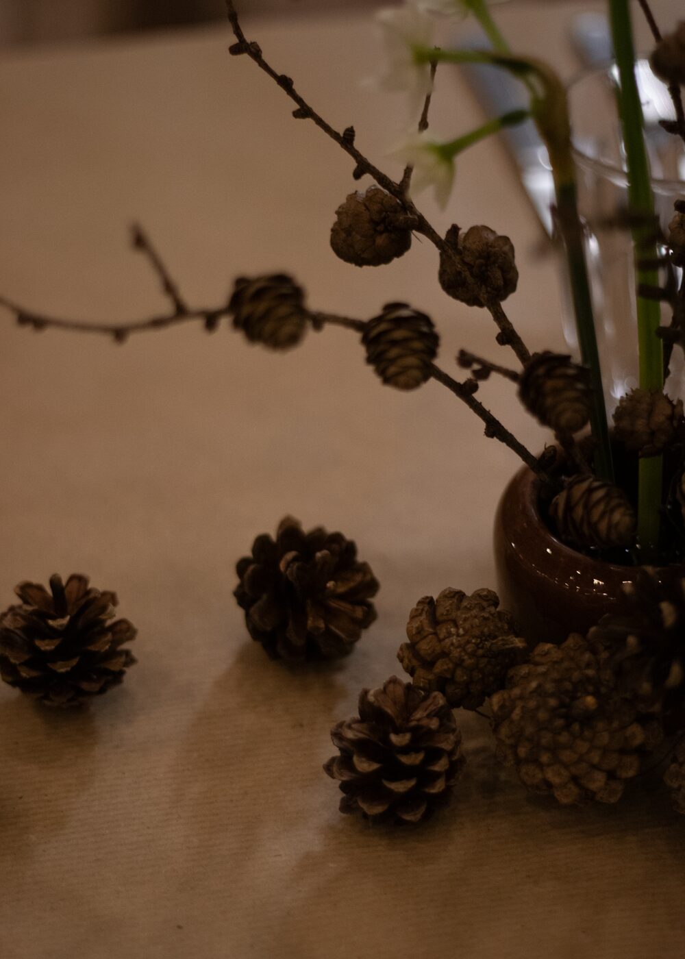 251211_MoraFloralStudio__RochelleCanteen_76