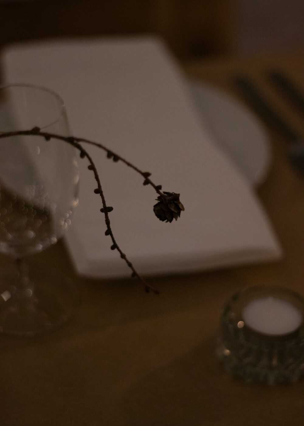 251211_MoraFloralStudio__RochelleCanteen_86