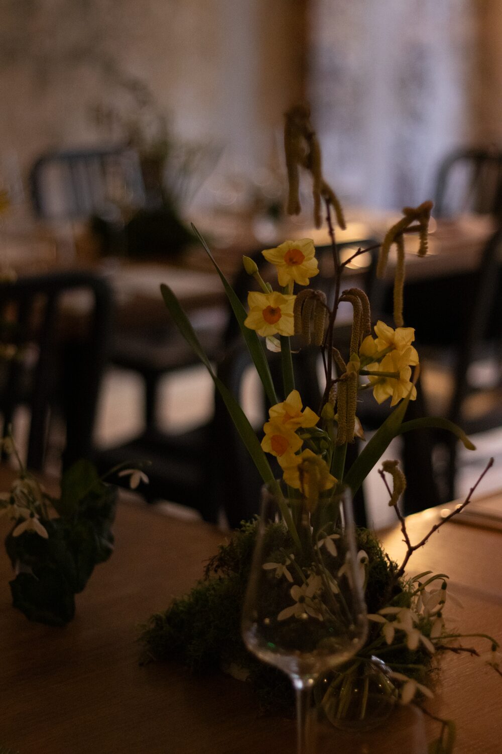 Hedgerow Awakening at Apricity