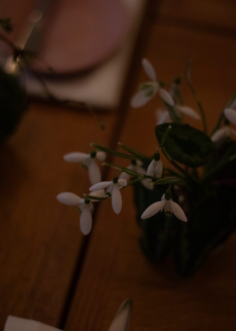 280119_MoraFloralStudio_Apricity_WinterLunch_63 2