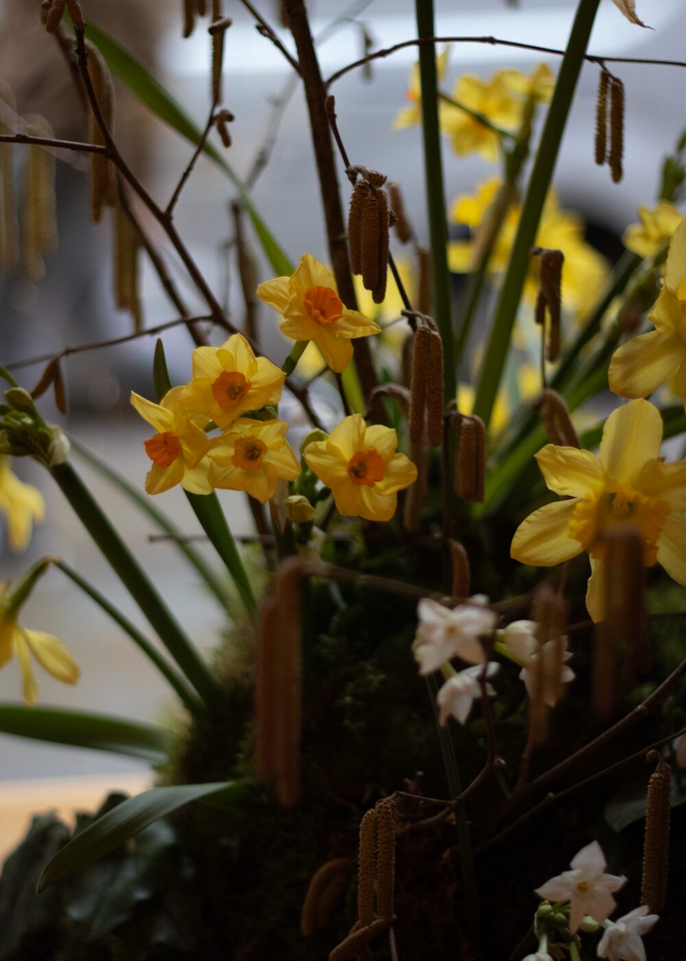 280119_MoraFloralStudio_Apricity_WinterLunch_65 2