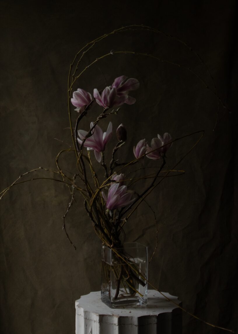 260226_MoraFloralStudio_Magnolia_Valentine_144b