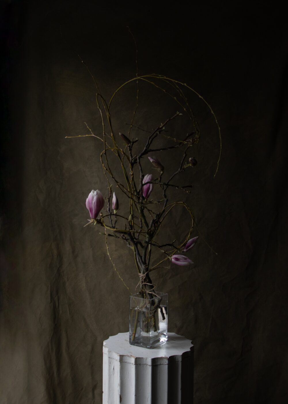 260226_MoraFloralStudio_Magnolia_Valentine_8