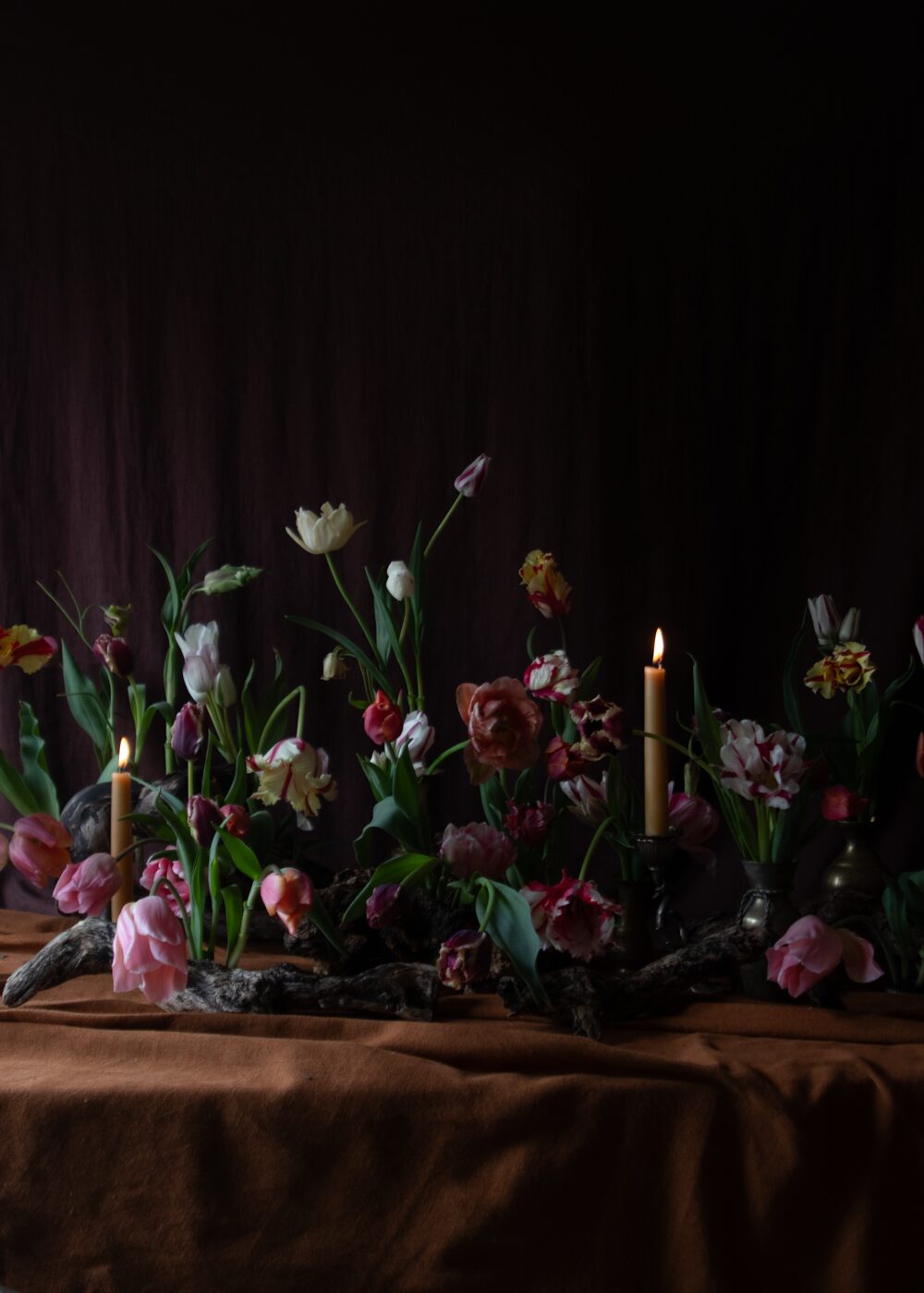 2504013_Mora_Tulipscape_4