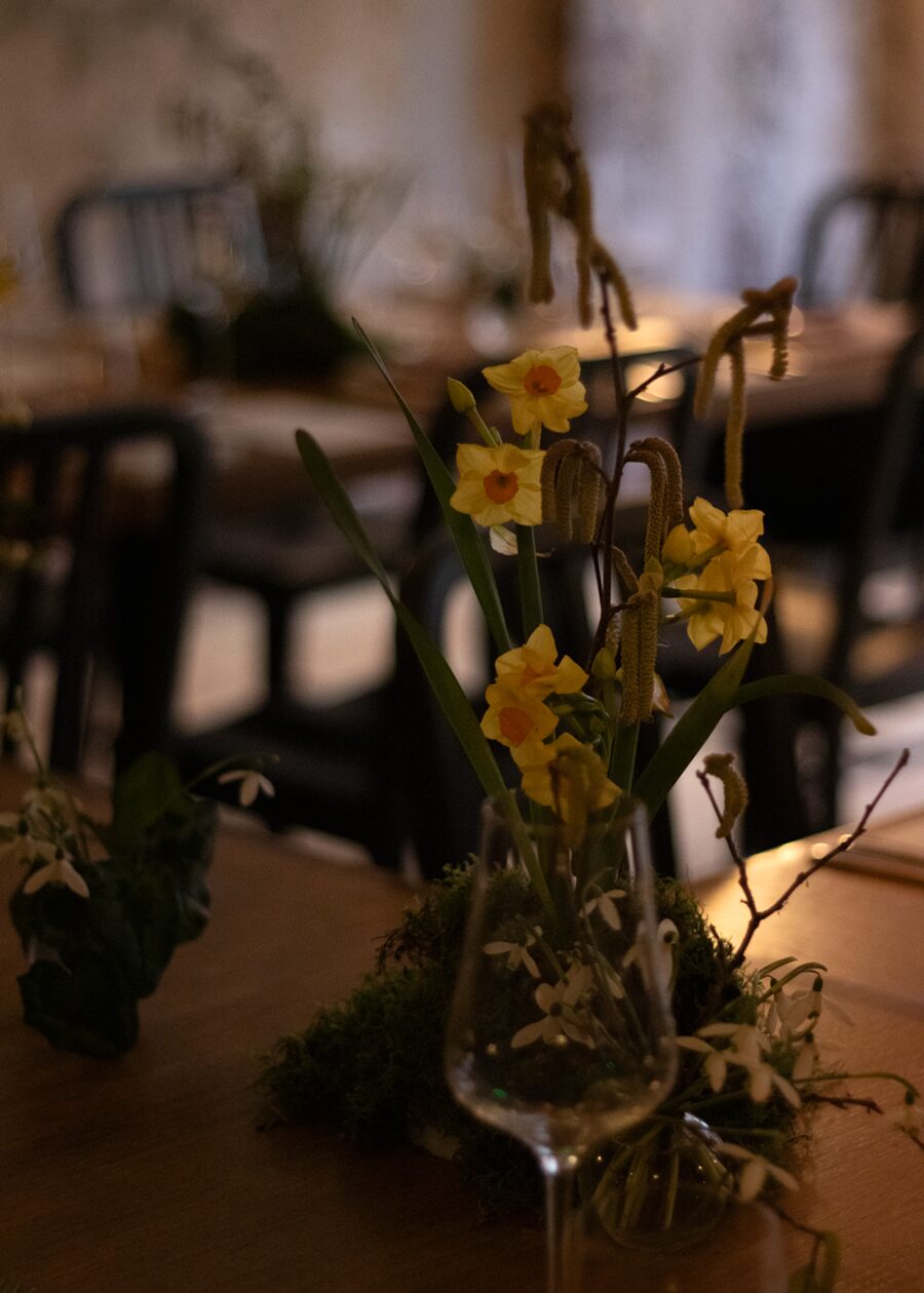 Hedgerow Awakening at Apricity