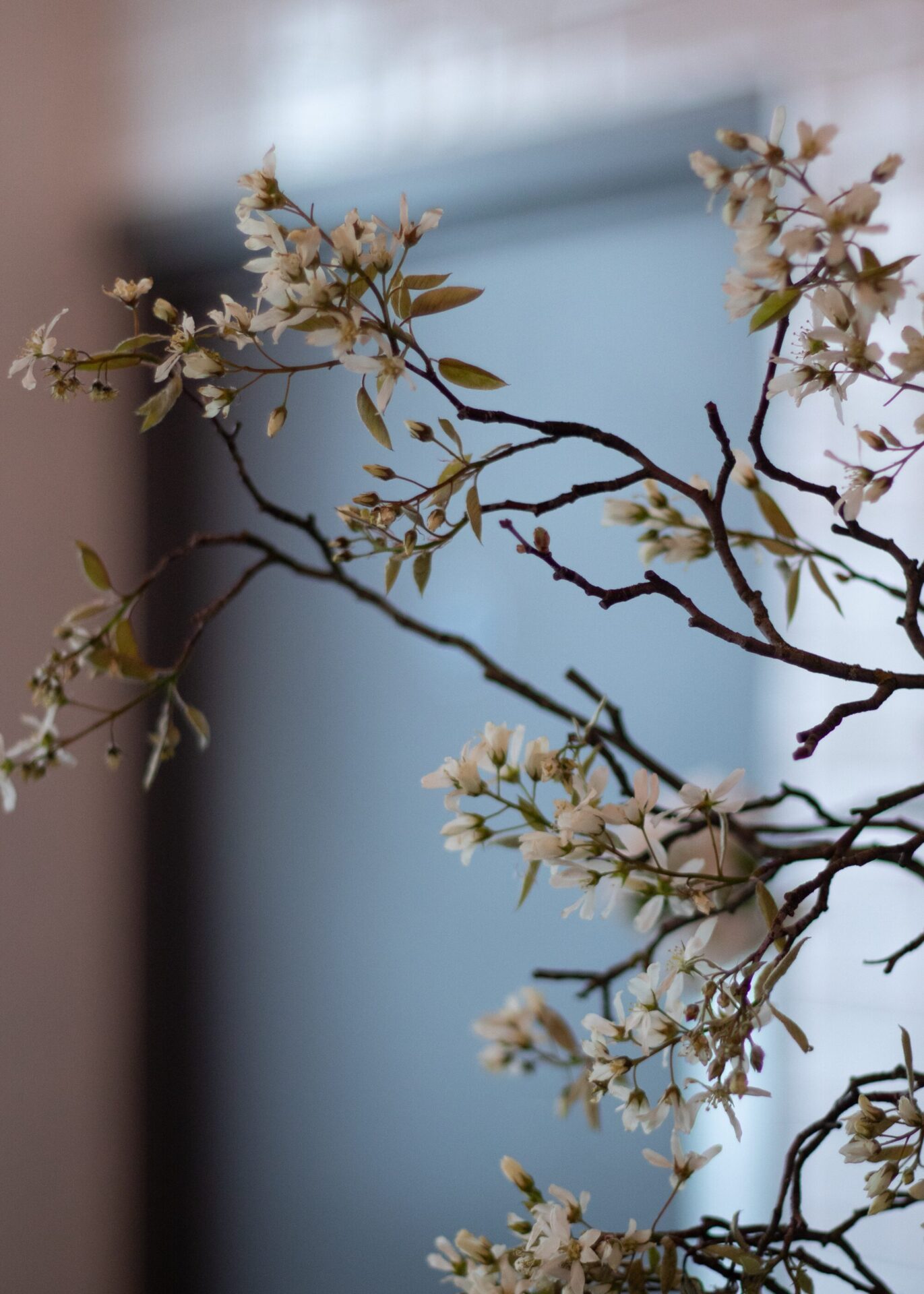 260321_MoraFloralStudio_Bistrotheque_SpringEquinox_13