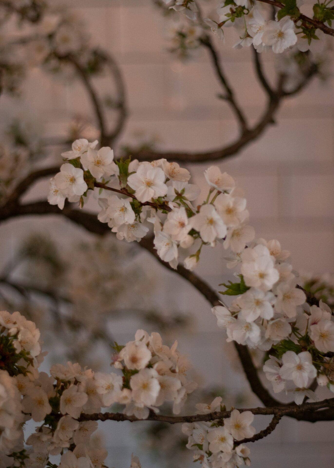 260321_MoraFloralStudio_Bistrotheque_SpringEquinox_14