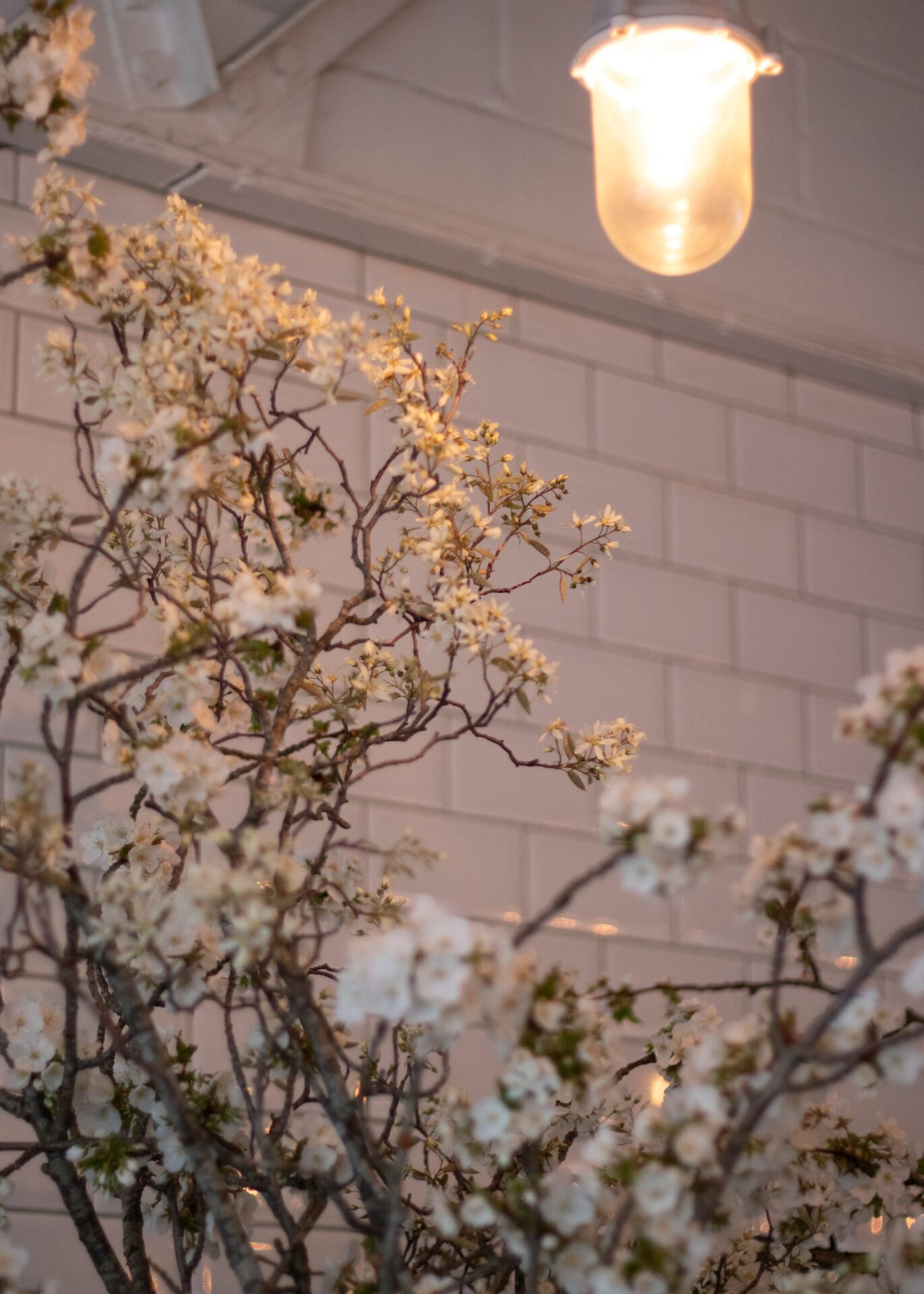 260321_MoraFloralStudio_Bistrotheque_SpringEquinox_8