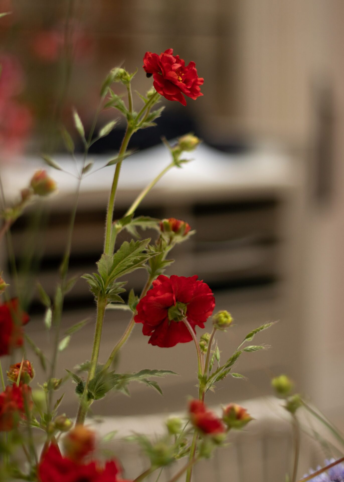 260514_MoraFloralStudio_Spring_Wedding_75
