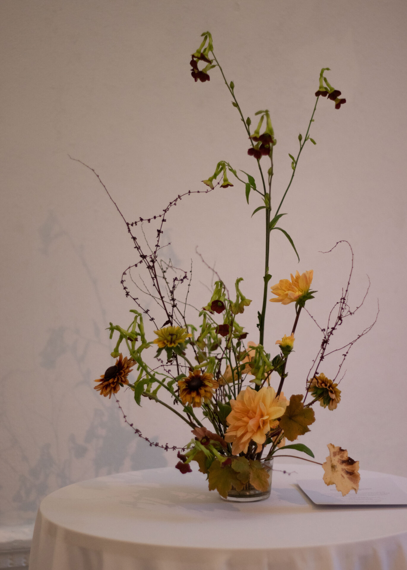261010_MoraFloralStudio_ICA_3